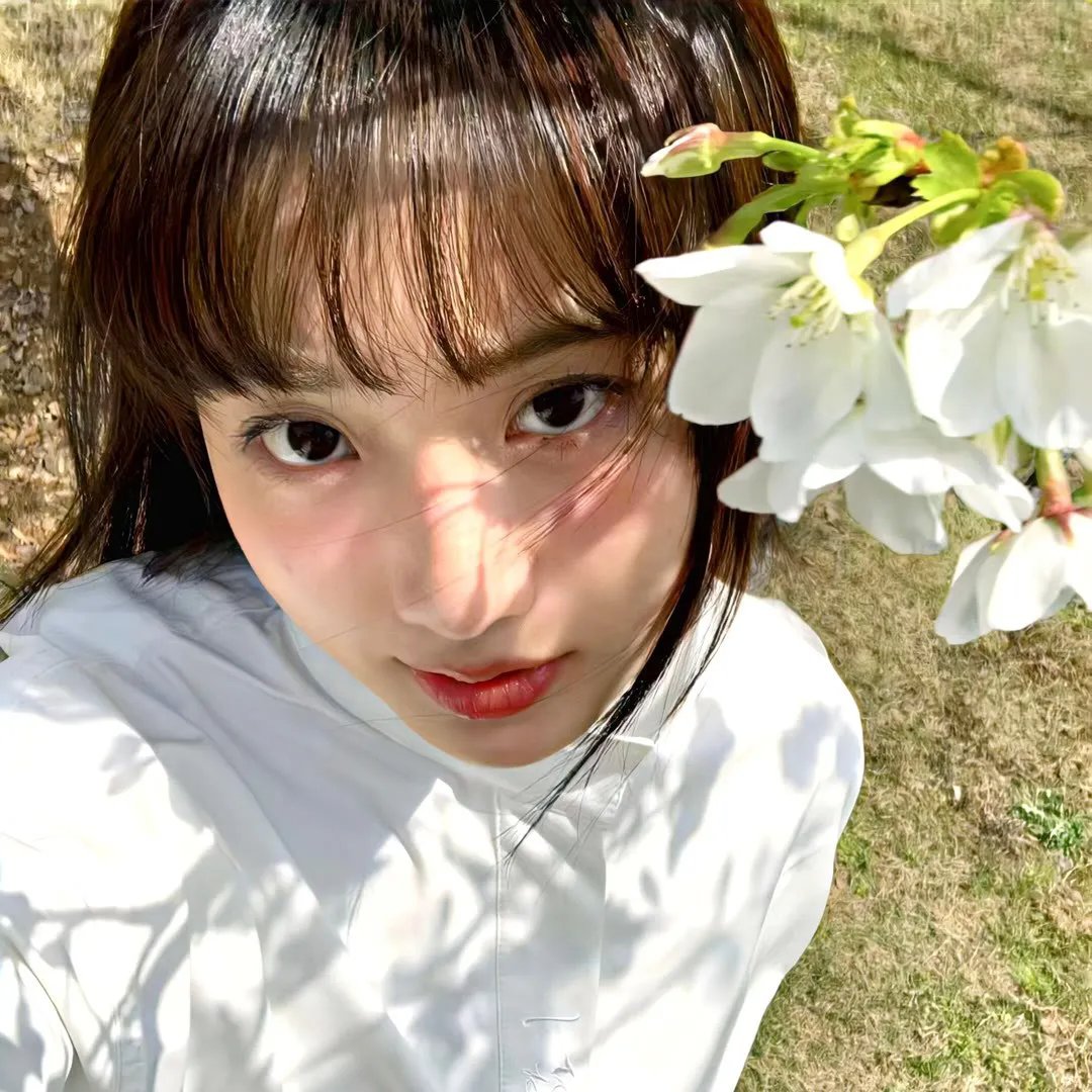 春风十里，不如你